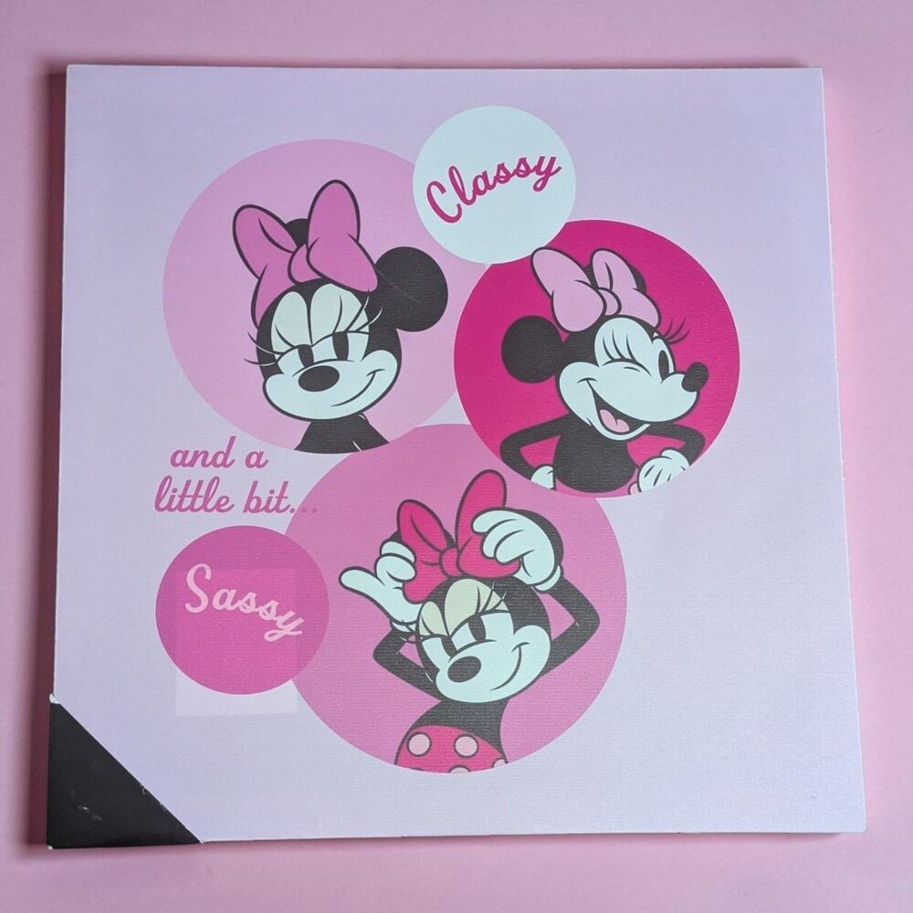 Disney Minnie Mouse Classy & Sassy Pink Canvas Wall Art Girls Room Decor 16x16